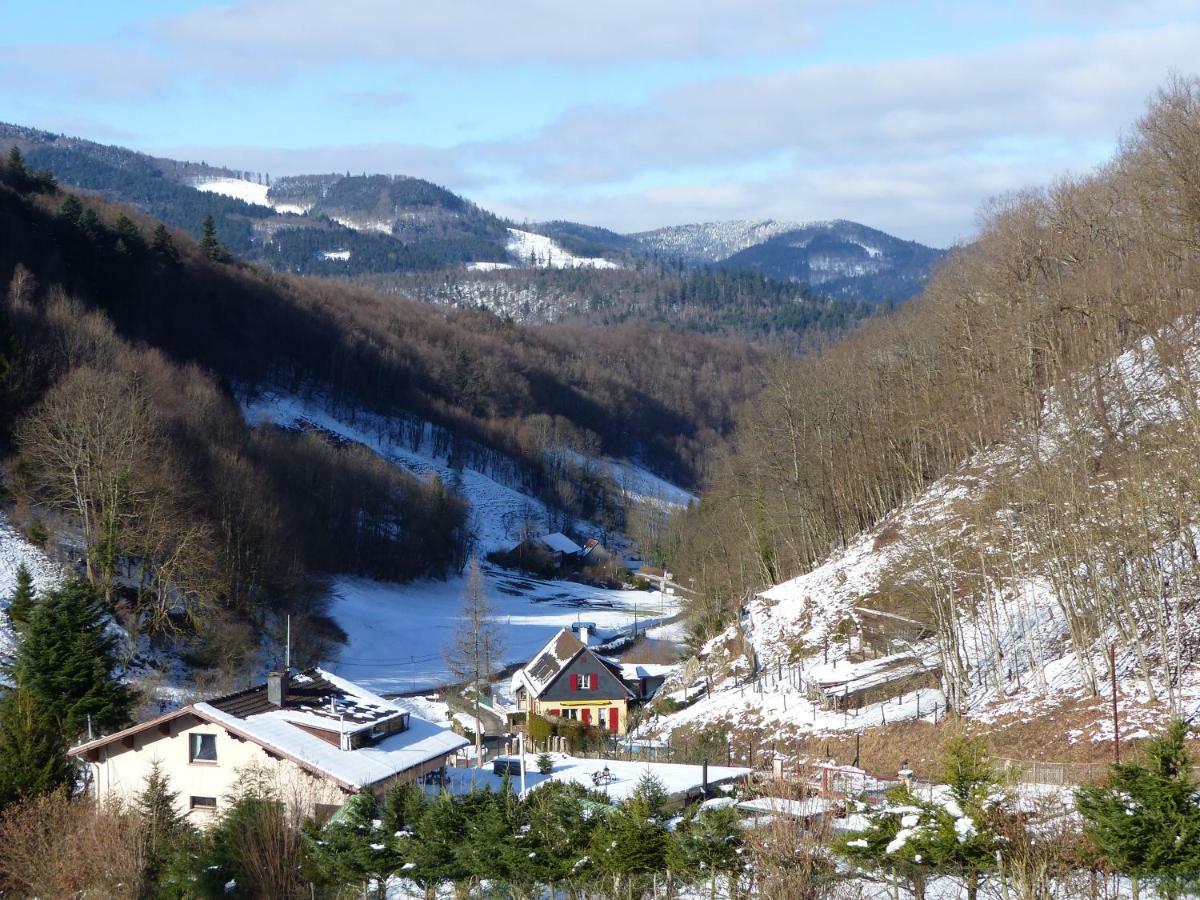 Gite Aux Sapins Sainte-Marie-aux-Mines Exterior photo